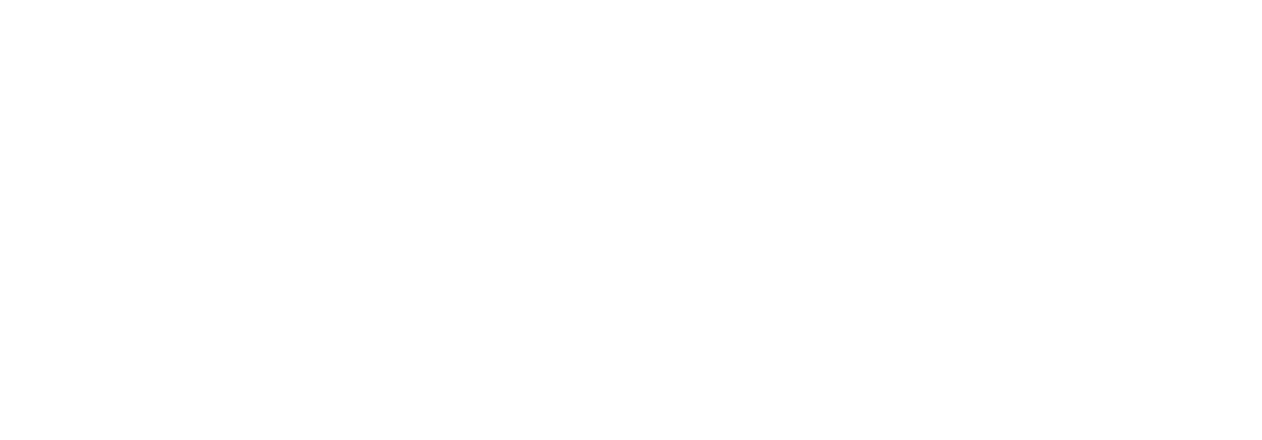 rimural logo 2026 orizz bianco